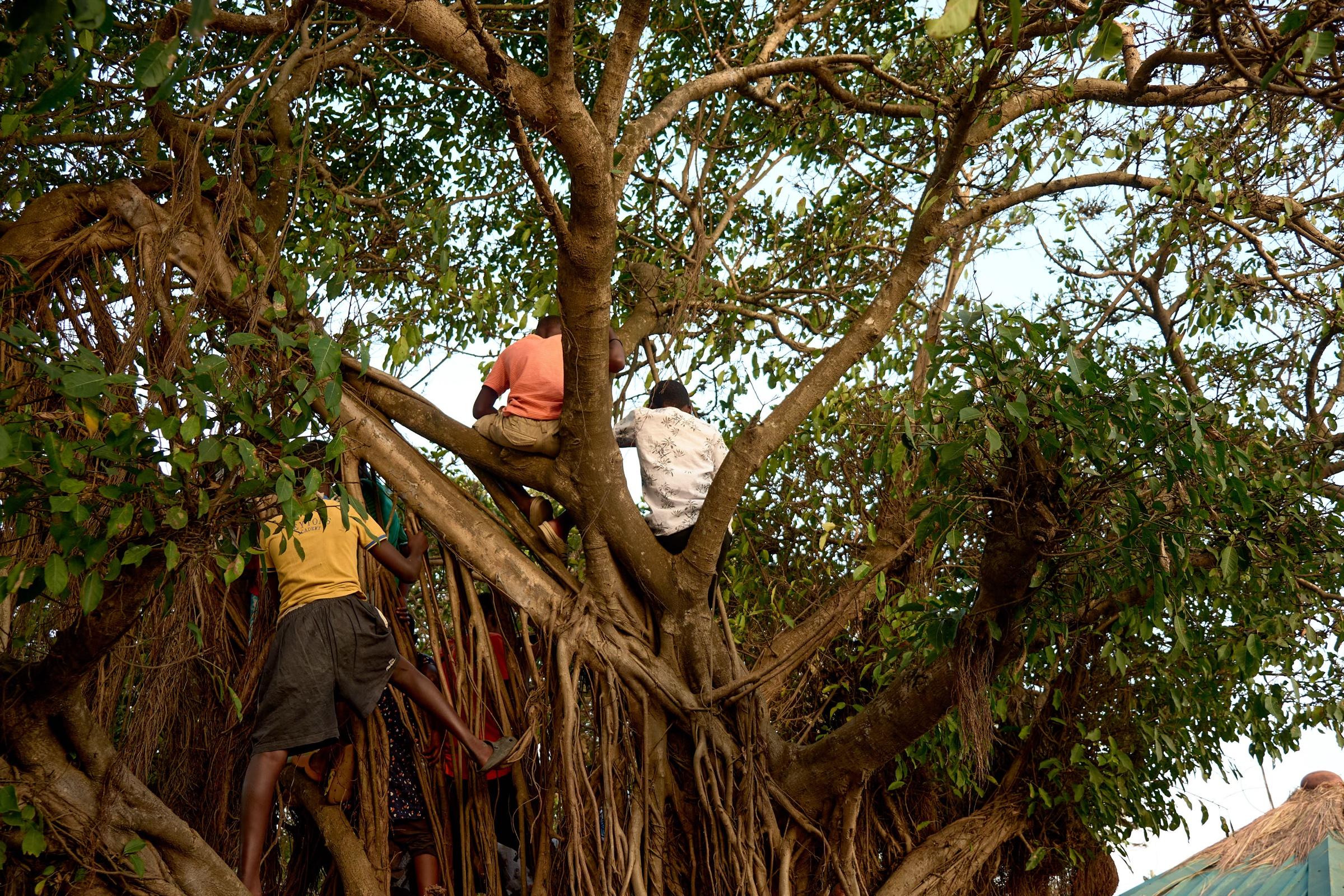 Homowo, photograph 15 by Ekow Quansah